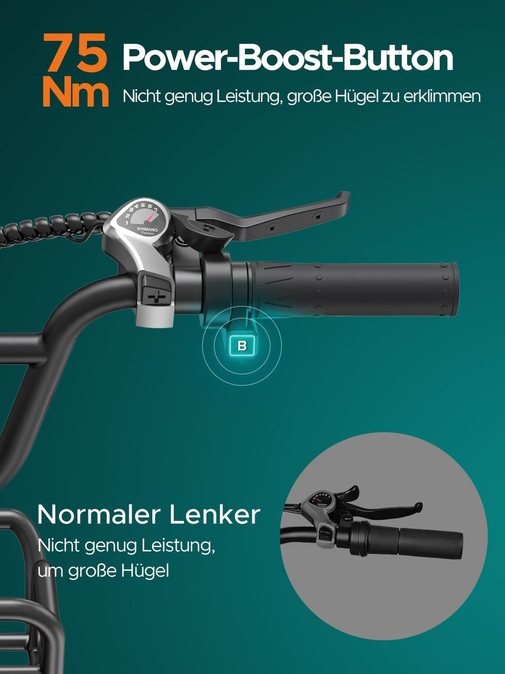 ENGWE E Bike Herren mit 48V 13Ah Batterie, 20 * 4.0 Zoll, 7-Gang Getriebe mit LCD-Display, 250W Motor & 25km/h, Reichweite bis zu 120km L20/L20 Boost