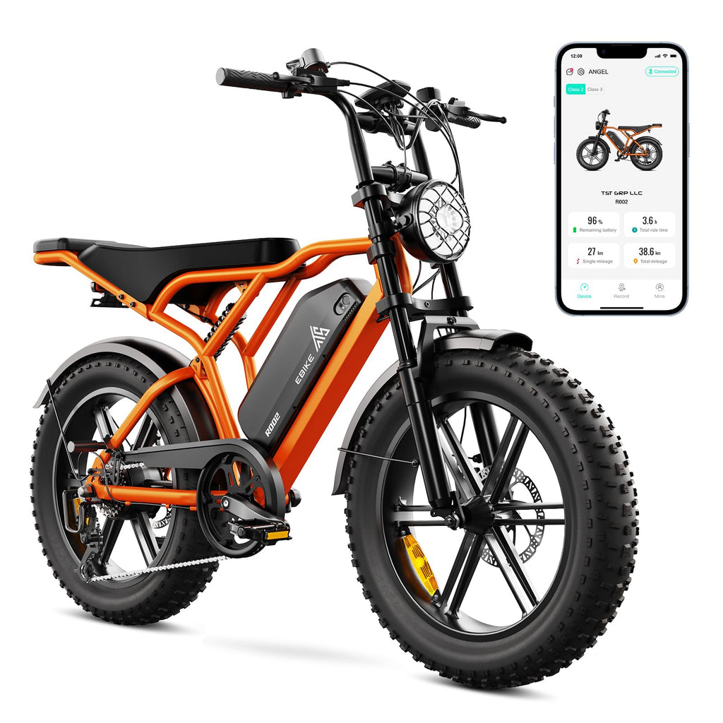 TST E Bikes Mountainbike Fatbike 20 Zoll Elektrofahrrad Herren Damen Elektro Fahrrad mit APP-Steuerung und Federung, E Fatbike 48V 15Ah Batterie 250W Motor 25km/h E Fahrrad