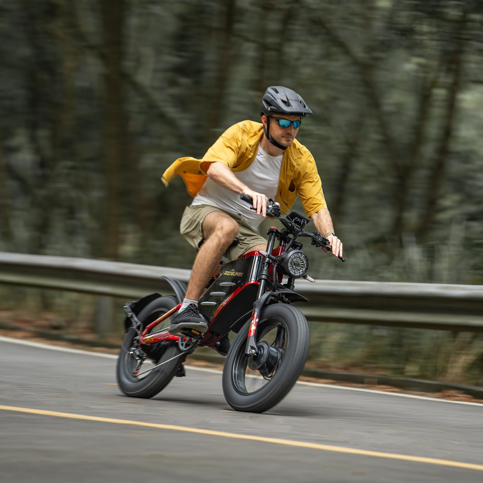 RZOGUWEX Elektrofahrrad, 20 Zoll 160NM Doppelmotor-Offroad-EBIKE für Erwachsene mit abnehmbarem 48V 30AH Lithium-Ionen-Akku, doppelte hydraulische Scheibenbremse