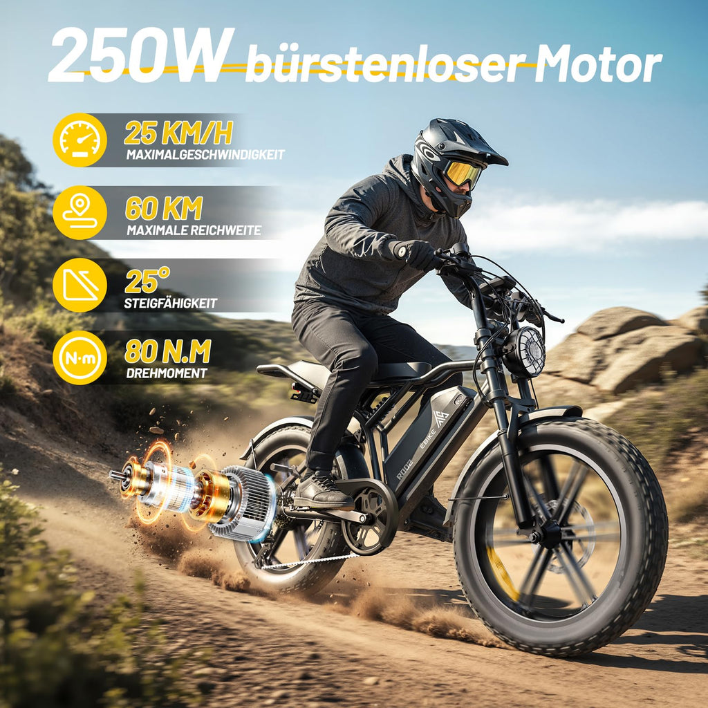 TST E Bikes Mountainbike Fatbike 20 Zoll Elektrofahrrad Herren Damen Elektro Fahrrad mit APP-Steuerung und Federung, E Fatbike 48V 15Ah Batterie 250W Motor 25km/h E Fahrrad