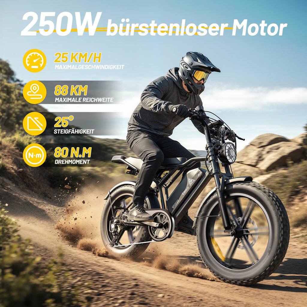 TST E Bikes Mountainbike Fatbike 20 Zoll Elektrofahrrad Herren Damen Elektro Fahrrad mit APP-Steuerung und Federung, E Fatbike 48V 15Ah Batterie 250W Motor 25km/h E Fahrrad