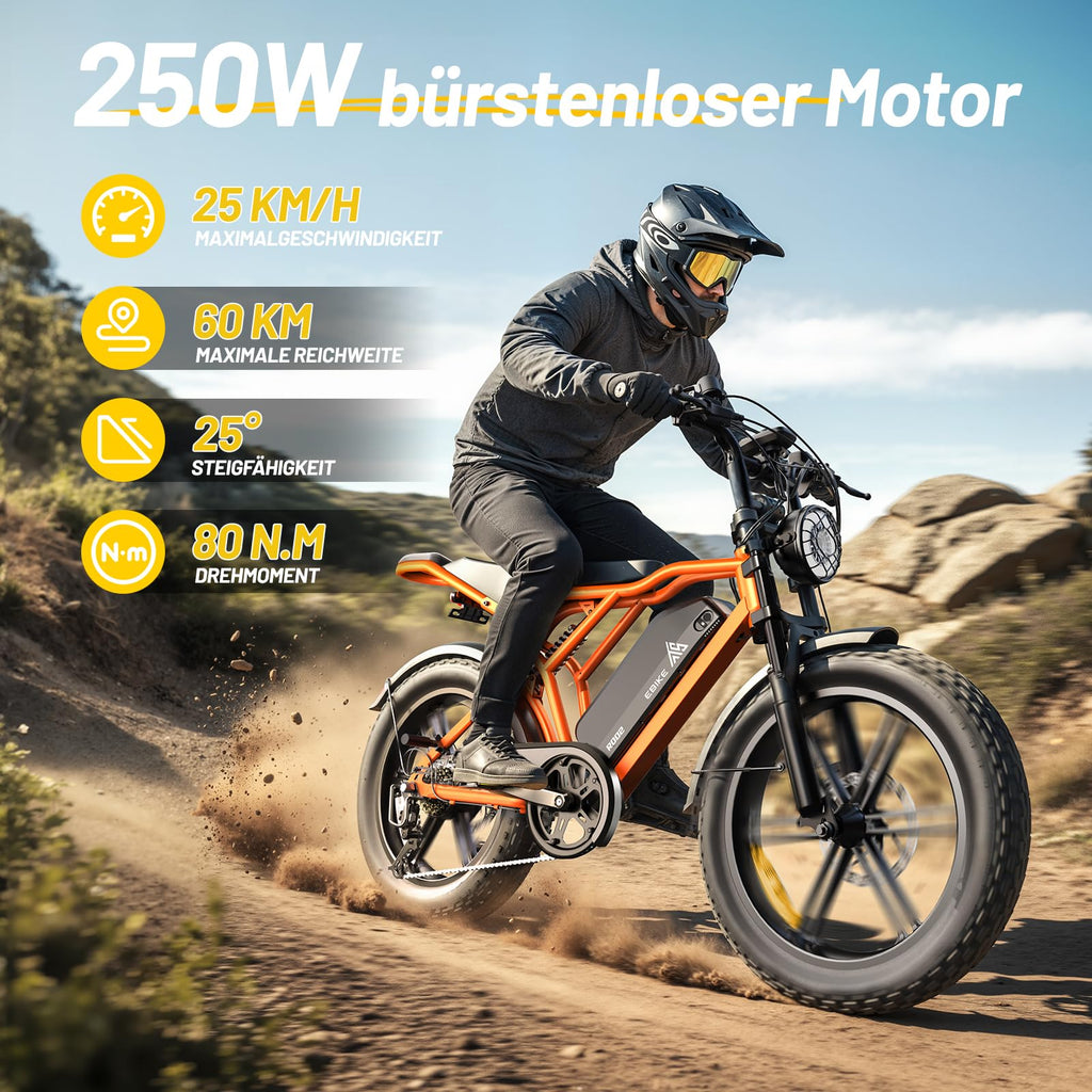 TST E Bikes Mountainbike Fatbike 20 Zoll Elektrofahrrad Herren Damen Elektro Fahrrad mit APP-Steuerung und Federung, E Fatbike 48V 15Ah Batterie 250W Motor 25km/h E Fahrrad